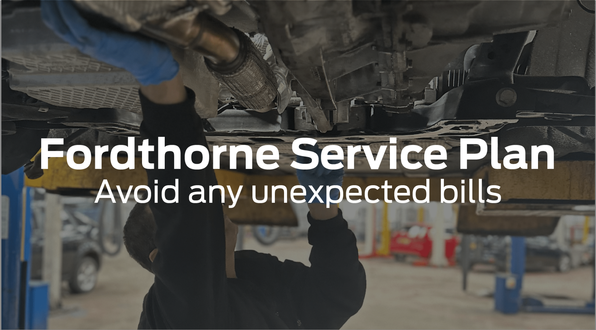 Fordthorne service plan